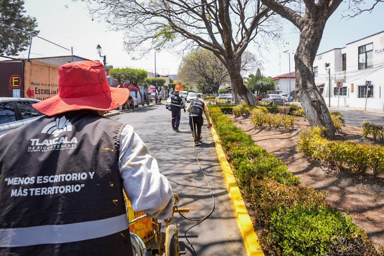 Mejora Ayuntamiento de Tlaxcala imagen urbana de la capital con  trabajos de señalización en calles del centro